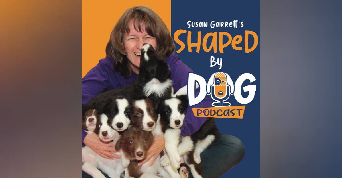 Episode 155: 10 Ways To Teach A Sit WITHOUT A Food Lure! Unreal Results For  Puppies And Dogs Of All Ages - DogsThat