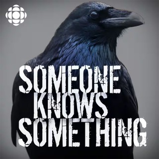 Someone Knows Something cover image
