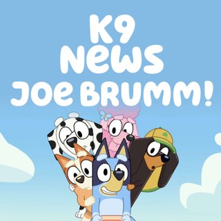 The Hammerbarn Project cover image