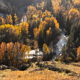 Accidental Gods cover image