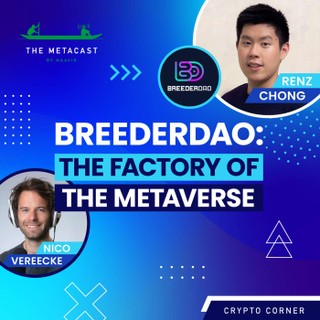 Naavik Gaming Podcast cover image