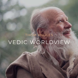 Vedic Worldview cover image