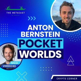 Naavik Gaming Podcast cover image