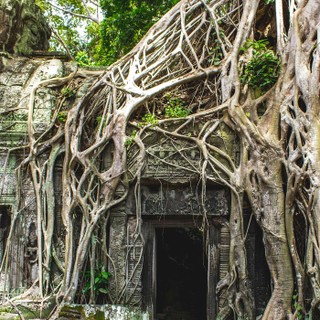 Accidental Gods cover image