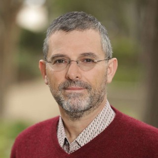 Crazy Wisdom cover image