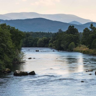 Accidental Gods cover image