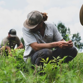 Accidental Gods cover image