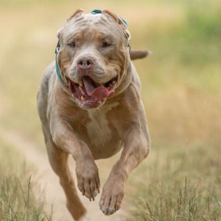 UK News Daily cover image