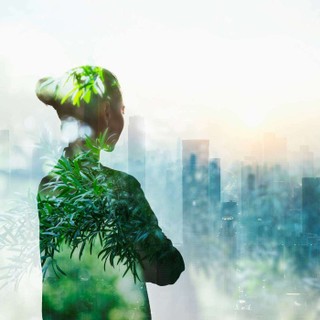 Accidental Gods cover image