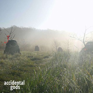 Accidental Gods cover image