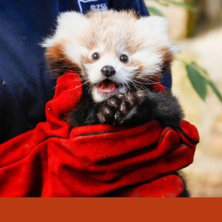 UK News Daily cover image