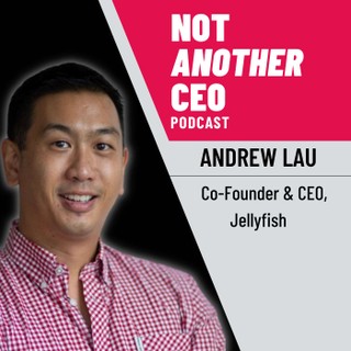 Not Another CEO Podcast cover image