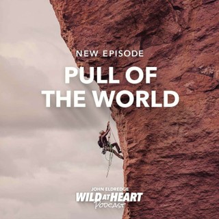 Wild at Heart cover image
