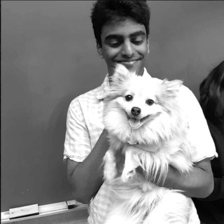 TalkRL: The Reinforcement Learning Podcast cover image