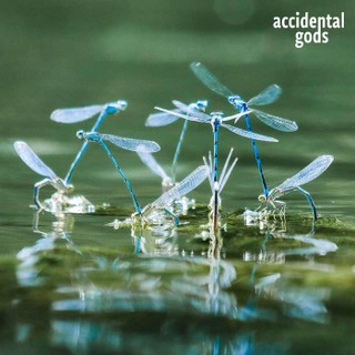 Accidental Gods cover image