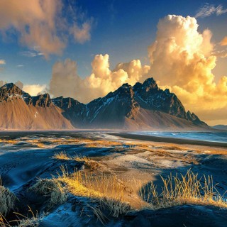 Accidental Gods cover image