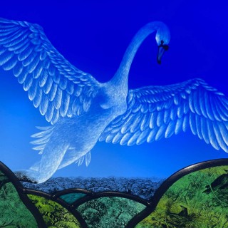 Accidental Gods cover image