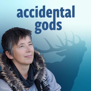Accidental Gods cover image