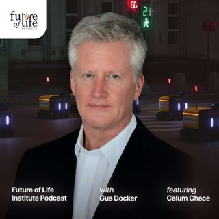 Future of Life Institute Podcast cover image