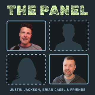 The Panel cover image