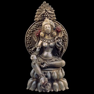 Mindfulness Meditation Podcast cover image