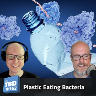 Still To Be Determined cover image