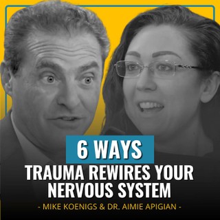 Capability Amplifier cover image