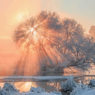 Accidental Gods cover image