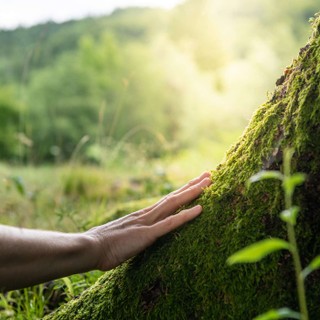 Accidental Gods cover image